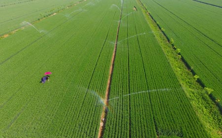 4G工业路由器在智能农业灌溉系统中的应用